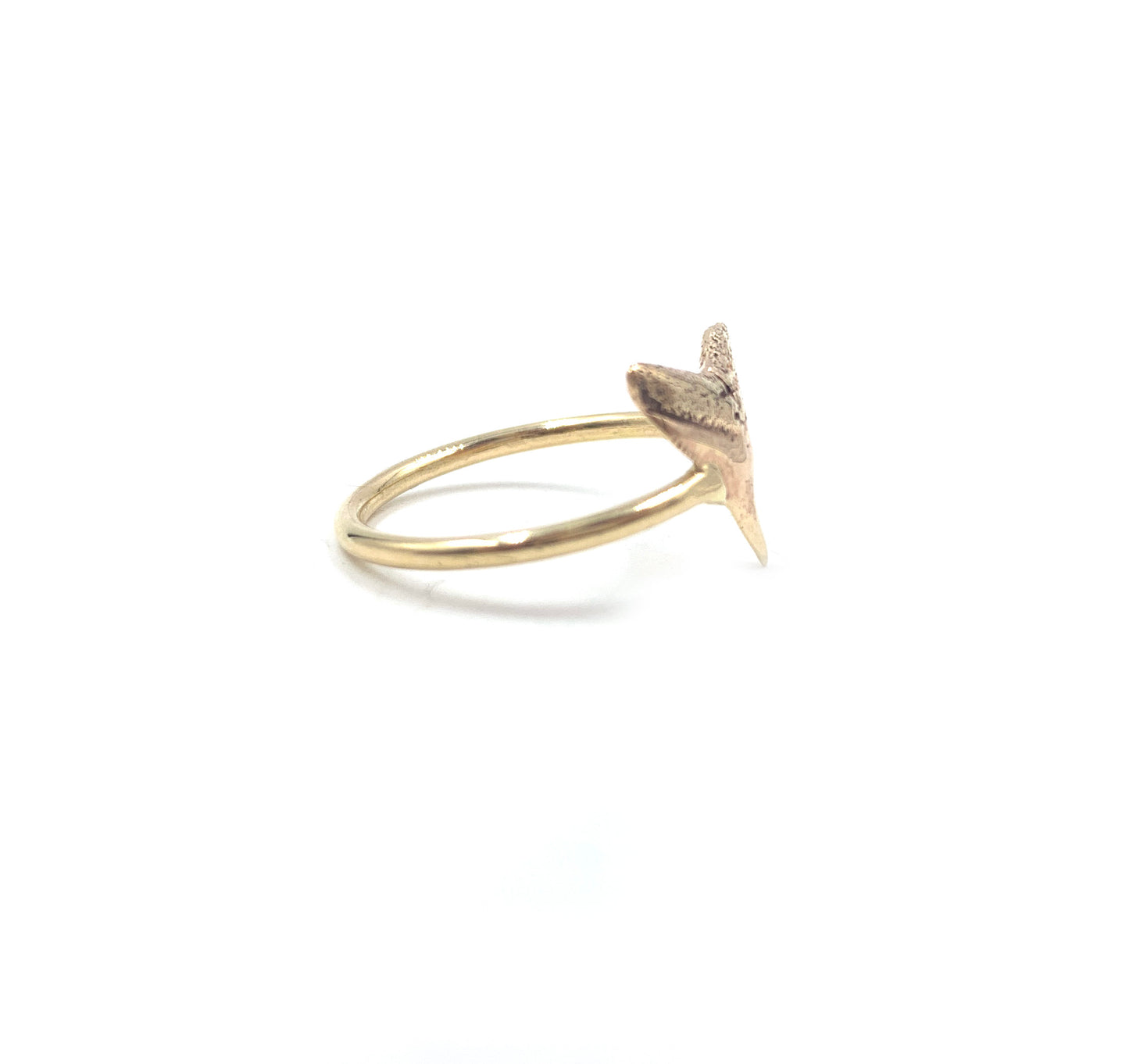 14k Mini Bull Shark Tooth Ring