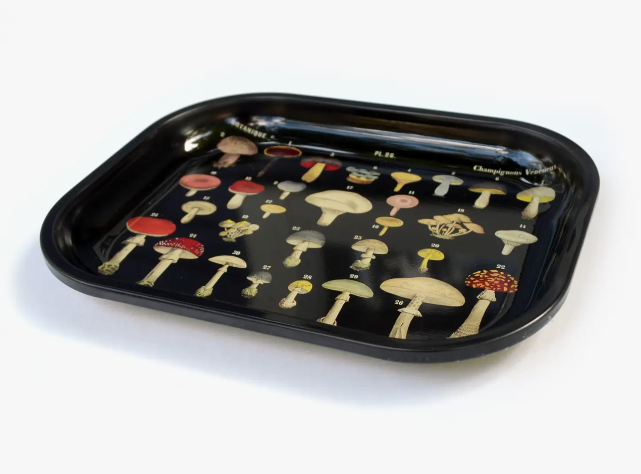 Small Metal Black Mushroom Ritual Tray / Vintage Fungi Print