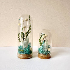 Fairy Garden Mini Terrariums