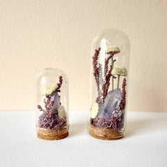 Fairy Garden Mini Terrariums