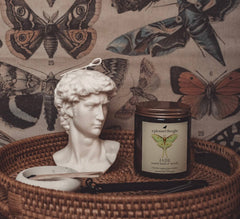 JADE | SWEET BASIL & NEROLI | JAR CANDLE