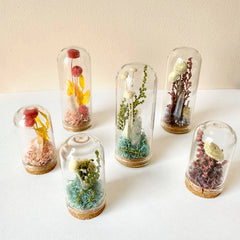 Fairy Garden Mini Terrariums