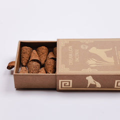 Dream Lion Incense - Creative Imagination