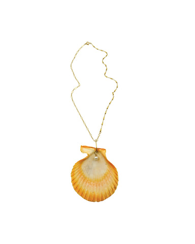 Scallop shell Necklace