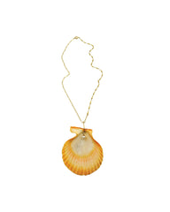 Scallop shell Necklace