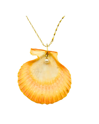 Scallop shell Necklace
