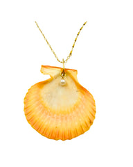 Scallop shell Necklace