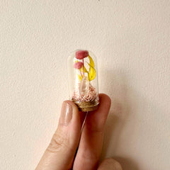 Fairy Garden Mini Terrariums