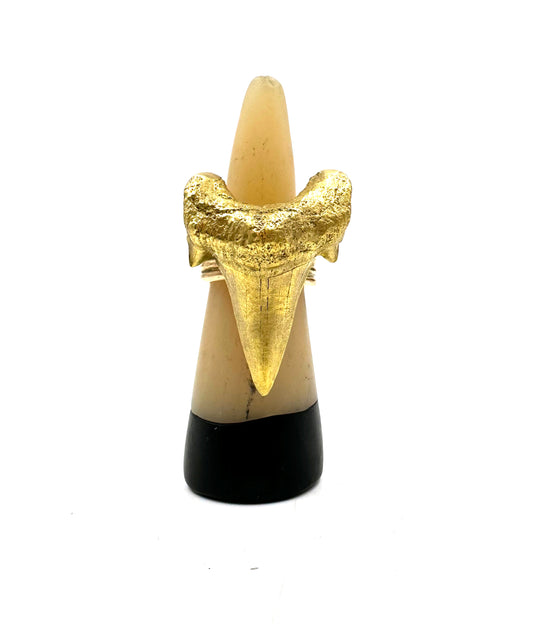 Meg Ring