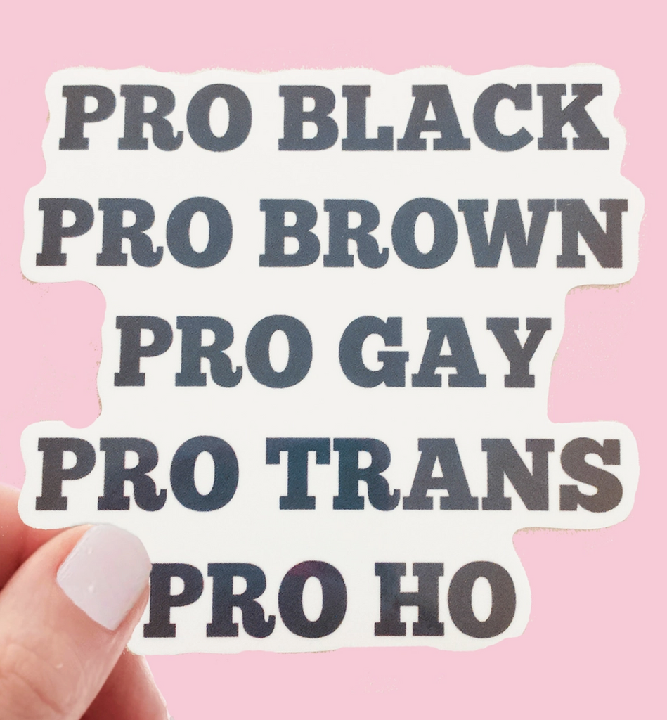 Pro Black Pro Brown Pro Gay Pro Trans Pro Ho Matte Sticker