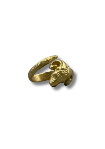 Bronze Ram Ring