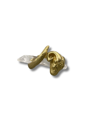 Bronze Ram Ring