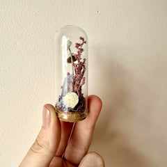 Fairy Garden Mini Terrariums