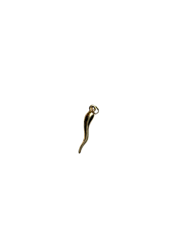 Gold Horn Charm