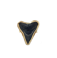 Des Shark Tooth Ring