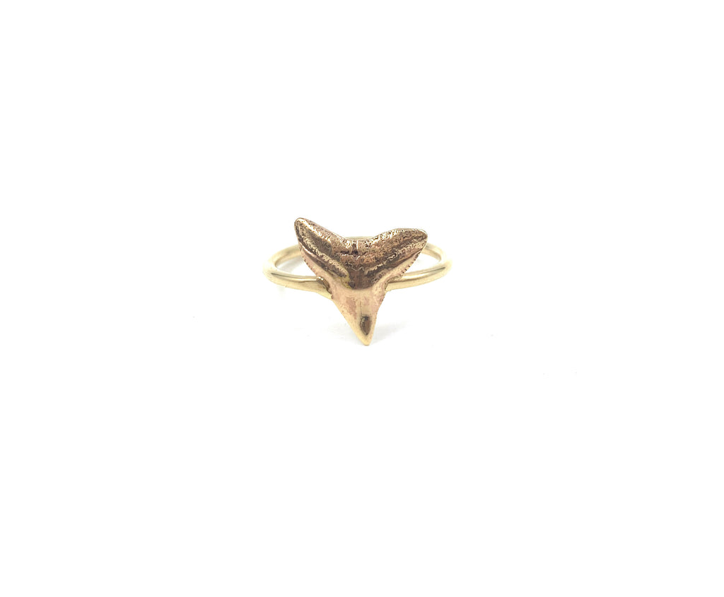 14k Mini Bull Shark Tooth Ring
