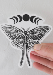 Luna moth Sticker