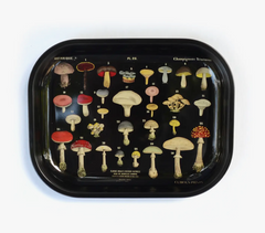 Small Metal Black Mushroom Ritual Tray / Vintage Fungi Print