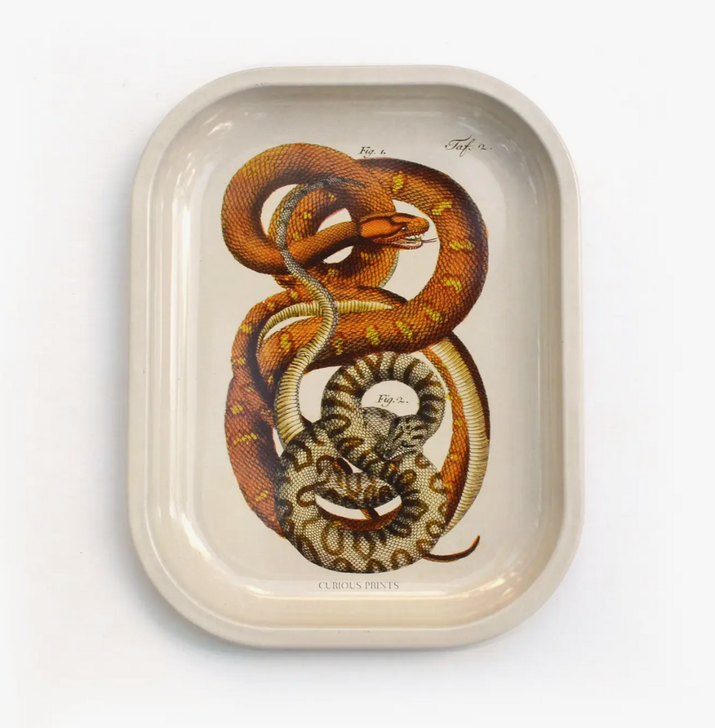 Small Metal Snake Ritual Tray / Vintage Print Rolling Tray